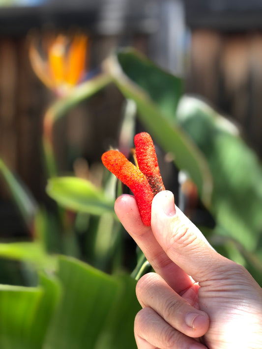 Sour Gummy Worms w/li hing mui