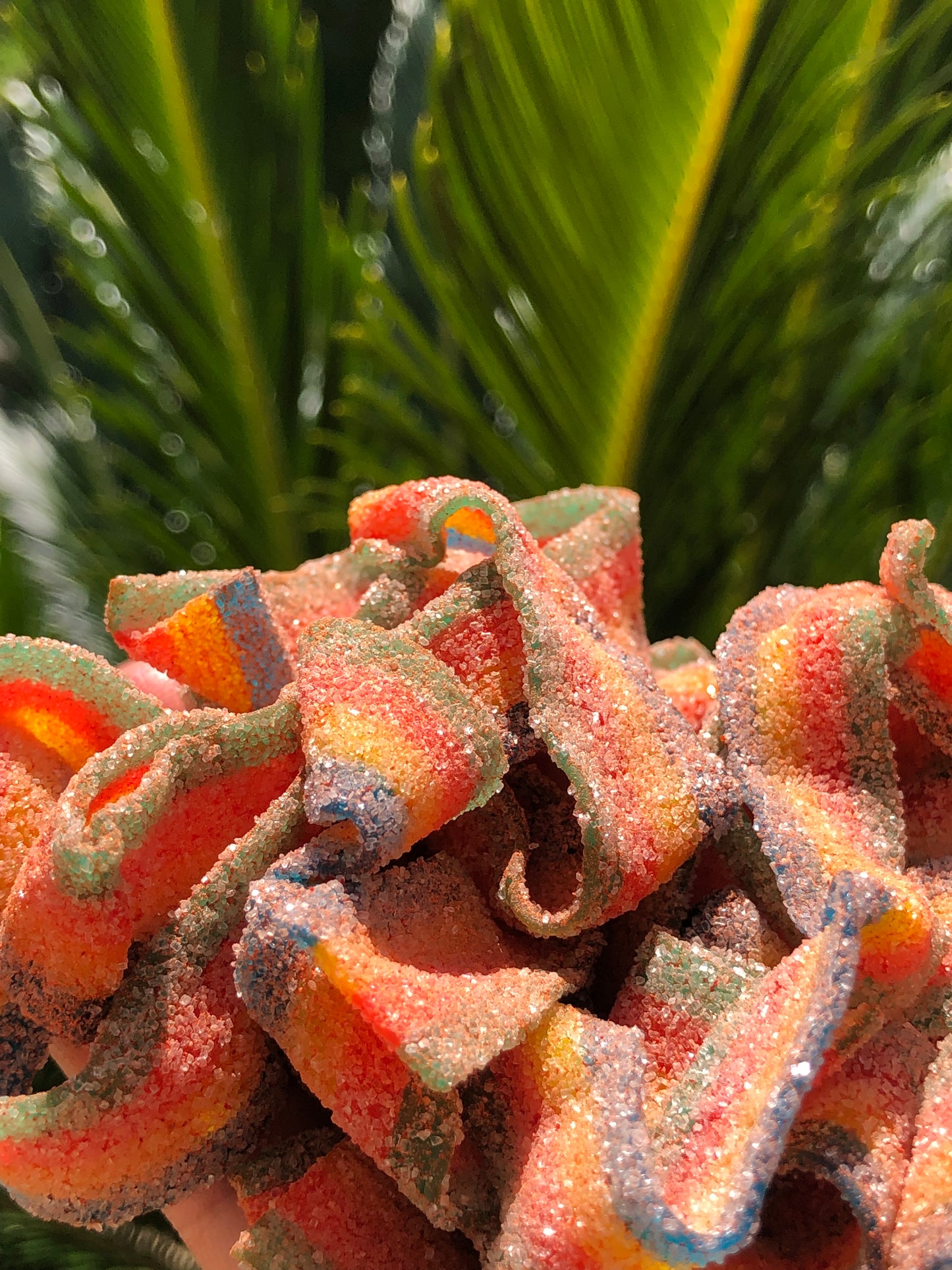 Sour Rainbow Belts w/li hing mui