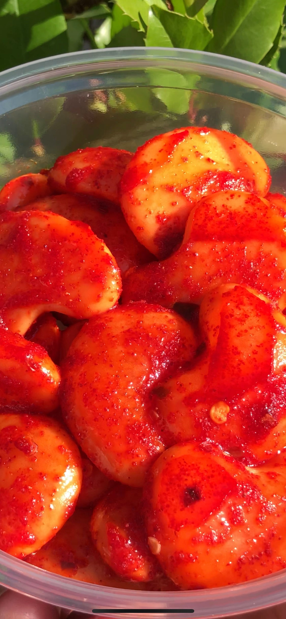 Pika Mango Gummies w/Li Hing Mui