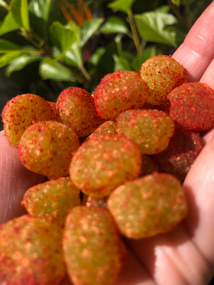 Sour Apple Gummies w/Li Hing Mui